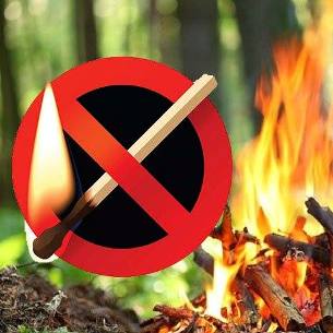 Десятерых нарушителей оштрафовали за розжиг костров в лесах Прибайкалья