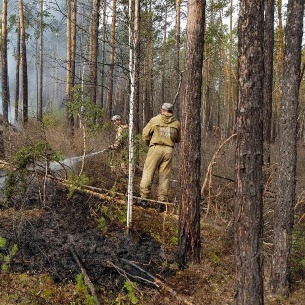 Первые лесные пожары потушили в Иркутской области