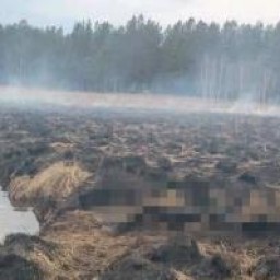 Обгоревшее тело рыбака нашли на берегу реки в Иркутском районе