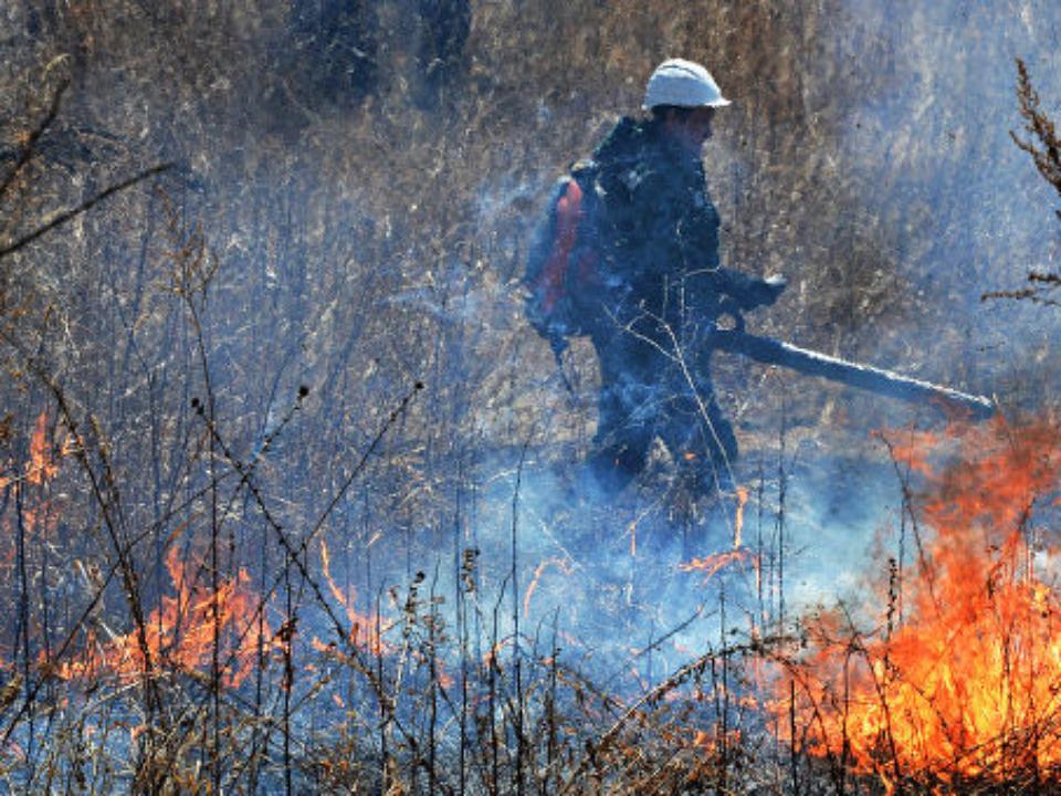 Иркутская область в огне: ночью МЧС потушили три крупных пожара