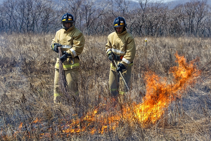 Четыре лесных пожара продолжают действовать в Иркутской области