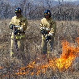 Четыре лесных пожара продолжают действовать в Иркутской области