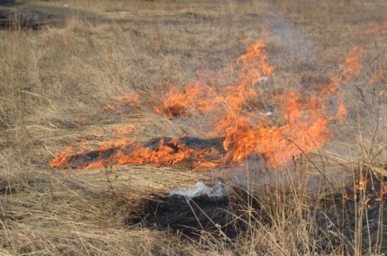 Чрезвычайный и высокий класс пожароопасности установился в лесах Иркутской области