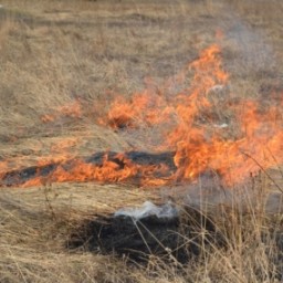 Чрезвычайный и высокий класс пожароопасности установился в лесах Иркутской области