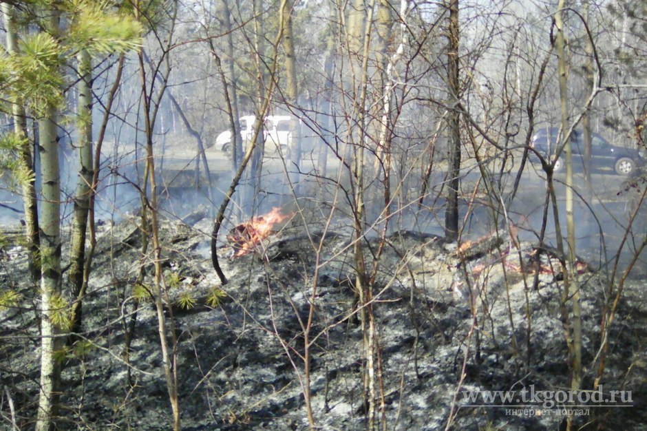 Ситуация с лесными пожарами тяжелая не только в Иркутской области