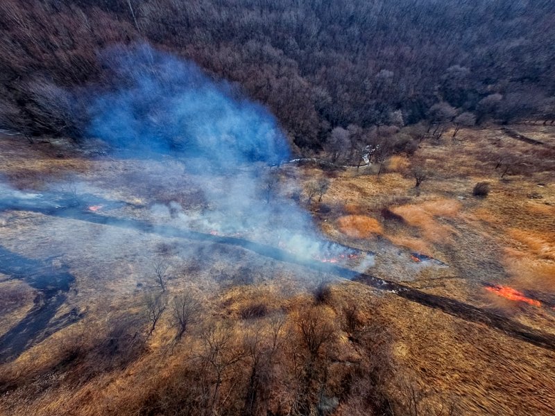 Коммунальные отходы сжигали во время особого противопожарного режима в Иркутской области