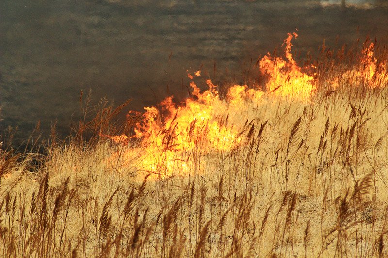 Иркутская область занимает первое место в России по количеству природных пожаров