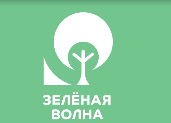Экомарафон РУСАЛа «Зеленая волна» стартовал в Шелехове