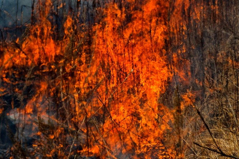 Три лесных пожара в Иркутской области возникли из-за гроз