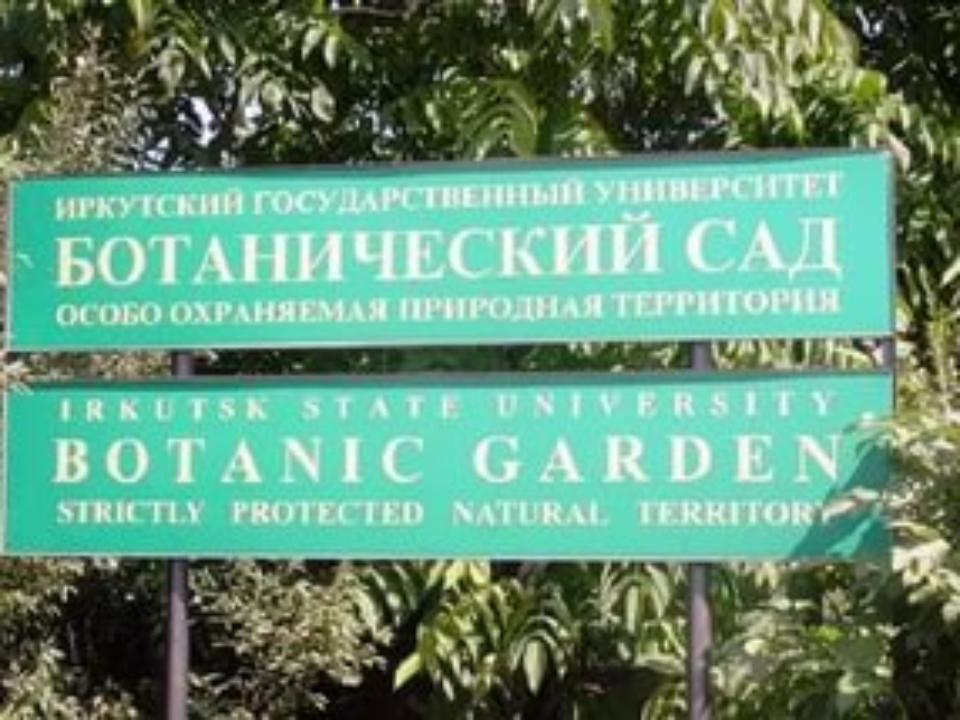 Иркутян приглашают на "Ночь в Ботаническом саду ИГУ" с саксофоном и чаем из самовара