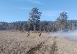 В преддверии пожароопасного сезона на территории Иркутской области проводятся контролируемые отжиги сухой растительности