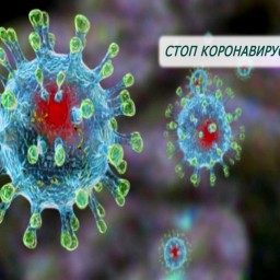 За последние сутки в Иркутской области не выявлено новых случаев заражения коронавирусом