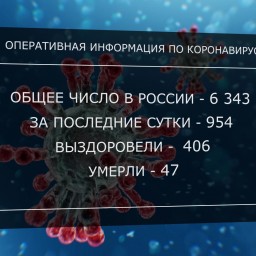 В России за сутки еще 954 человека заболели COVID-19