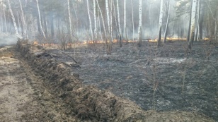На утро 10 апреля в Иркутской области зарегистрировано одно возгорание в лесу