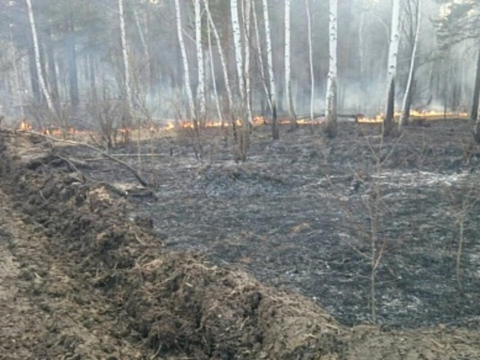 Пожароопасный сезон в Иркутской области начался с пожара в лесу