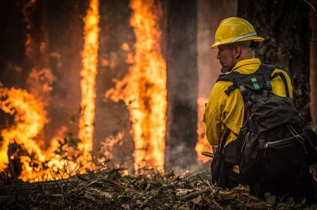 Четыре лесных пожара потушили за несколько дней в Иркутской области
