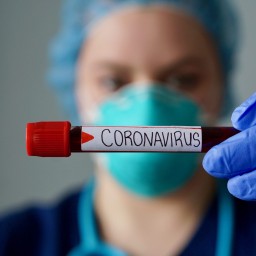 Коронавирус: оперативная информация на 14 апреля