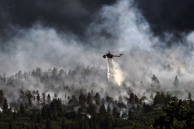 Высокие классы пожароопасности лесов установились в Иркутской области