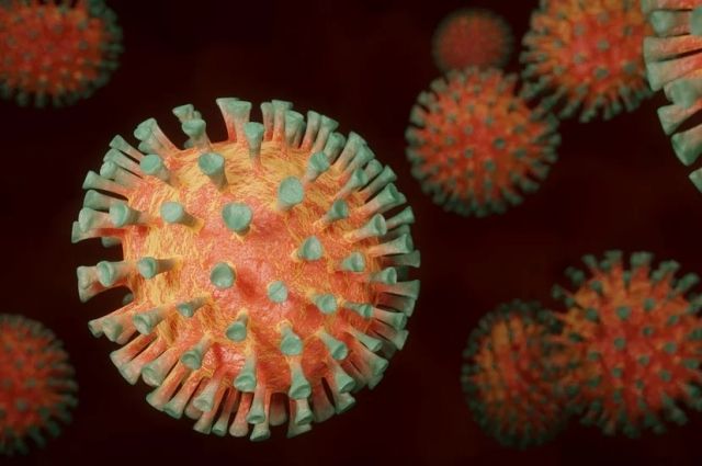 41 человек заразился коронавирусом в Иркутской области