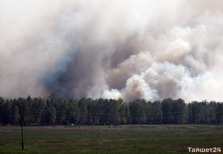 В Тайшетском районе зарегистрированы первые лесные пожары