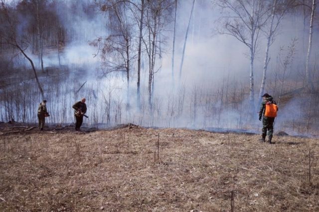 Три лесных пожара потушили за сутки в Иркутской области