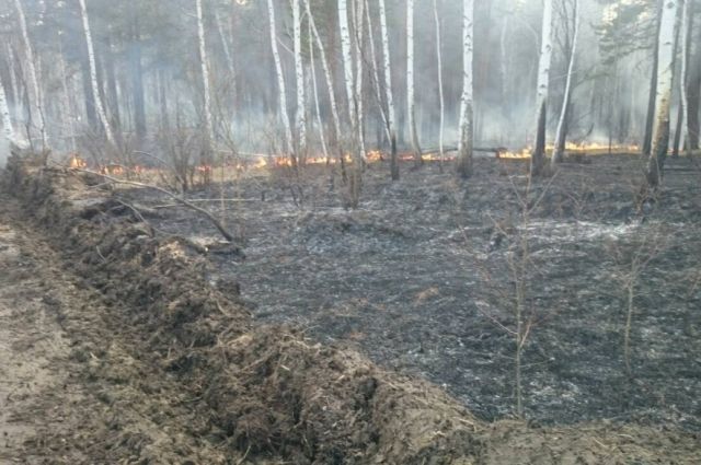Два пожара потушили за сутки в лесах Иркутской области
