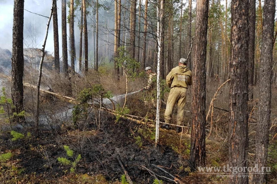 За сутки в Иркутской области зарегистрировано 6 новых лесных пожаров