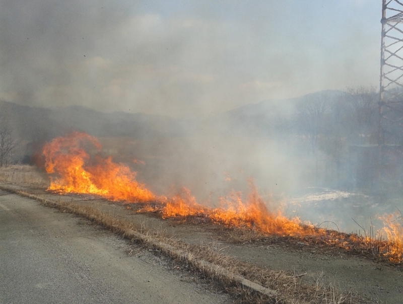 Третий класс пожарной опасности прогнозируется в Иркутской области