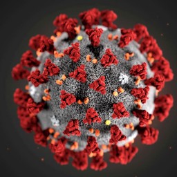 Пик по заболеваемости коронавирусом в регионе ожидается в середине мая