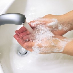 В Роспотребнадзоре рассказали, как правильно мыть руки