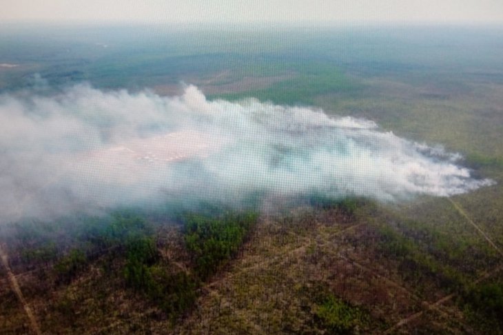 В Качугском районе ввели режим ЧС из-за ухудшения лесопожарной обстановки