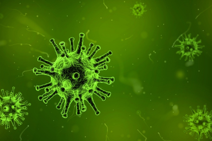Плюс еще шесть тысяч зараженных – эпидемия коронавируса не сбавляет оборотов