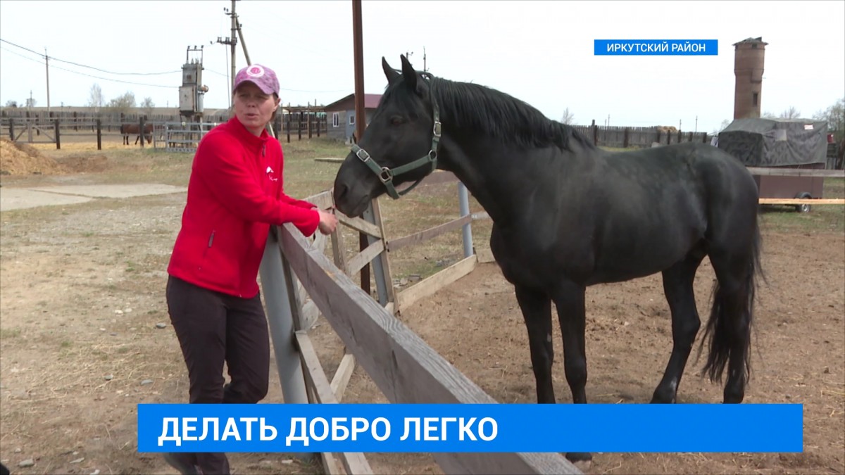 Конный спорт Иркутской области просит поддержки