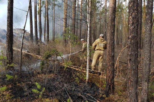 Двадцать пожаров потушили за сутки в лесах Иркутской области