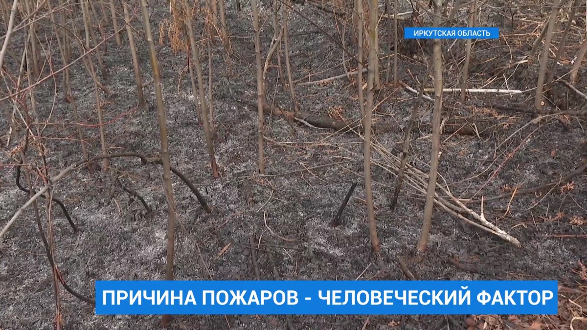 Спланированные поджоги &#8212; причина лесных пожаров в Качугском районе