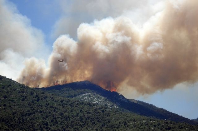 Лесные пожары в Качугском районе должны потушить до 30 апреля