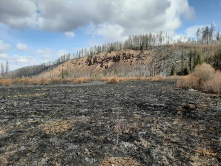 Все лесные пожары локализовали в Качугском районе Приангарья
