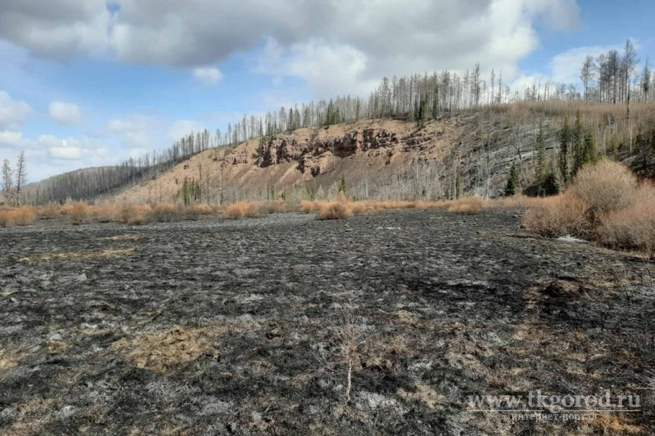 В Качугском районе, где ввели режим ЧС, локализовали все лесные пожары