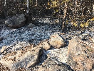 В Шелеховском районе установили возможных виновников лесного пожара