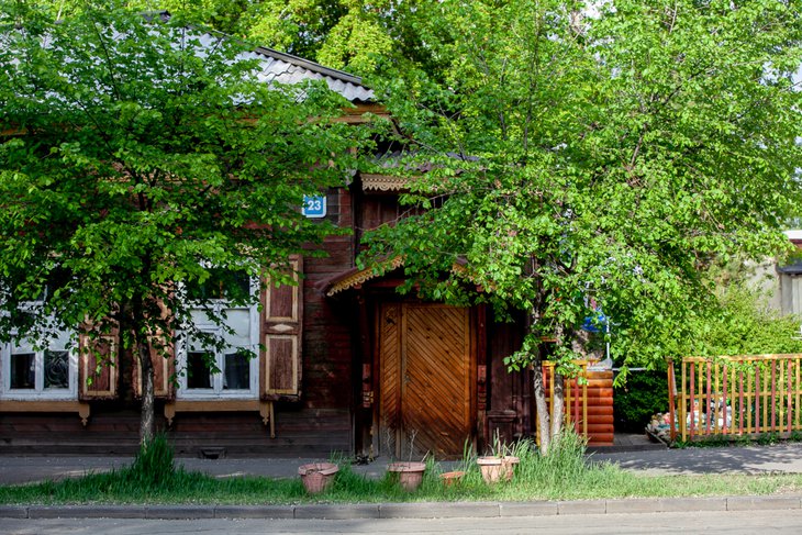 В Иркутске принимают заявки на обработку деревьев и кустарников от вредителей