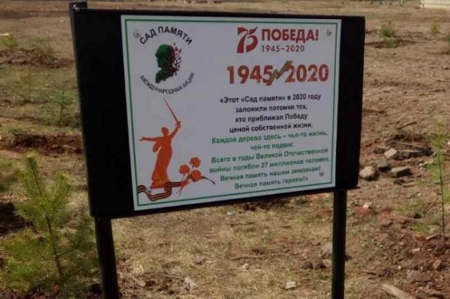 Более 10 тысяч деревьев высадили в Иркутской области