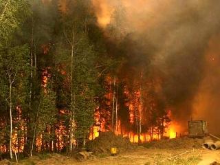 Половина площади всех лесных пожаров в России приходится на Забайкалье