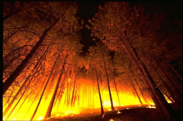 С начала пожароопасного сезона в Иркутской области произошёл 191 пожар