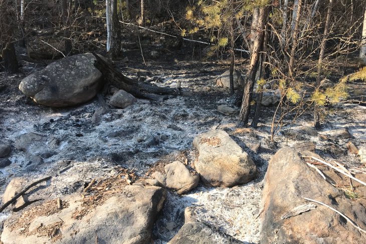 Возможных виновников лесного пожара установили в Шелеховском районе