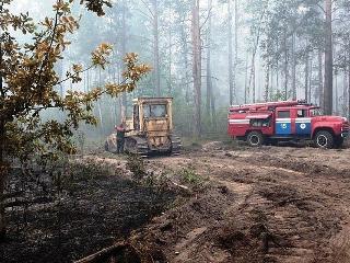 За сутки в Иркутской области ликвидировали 14 лесных пожаров