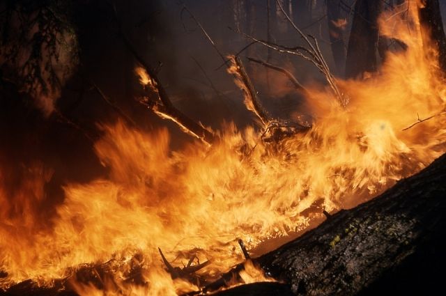 Три лесных пожара потушили в Иркутской области за прошедшие сутки