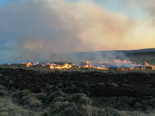 Высокую пожароопасность лесов прогнозируют в верхнеленских районах Иркутской области