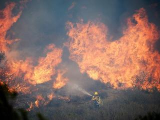 Восемь лесных пожаров потушили в Приангарье за сутки