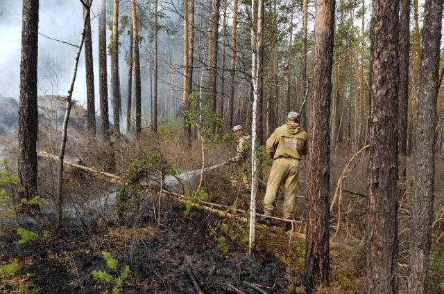 Один лесной пожар потушили за сутки в Усольском районе