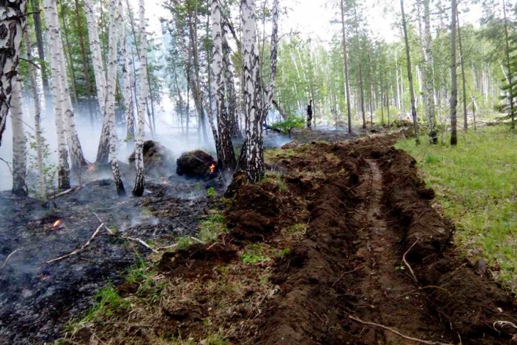 Восемь лесных пожаров ликвидированы в Иркутской области за сутки